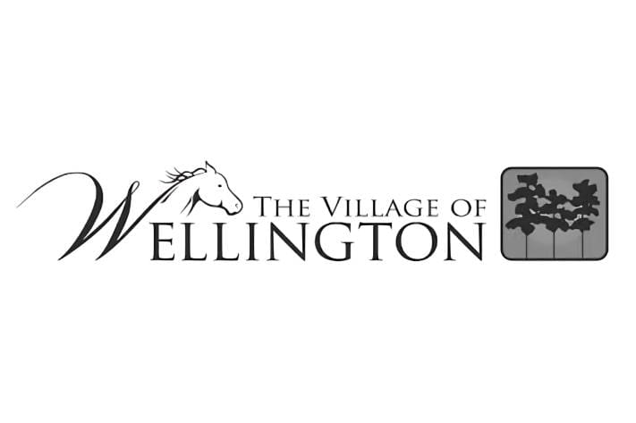 A black and white image of the village of wellington.